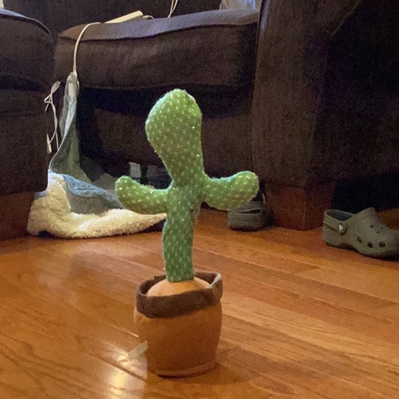 Cactus for kids. - Picture 10 of 14